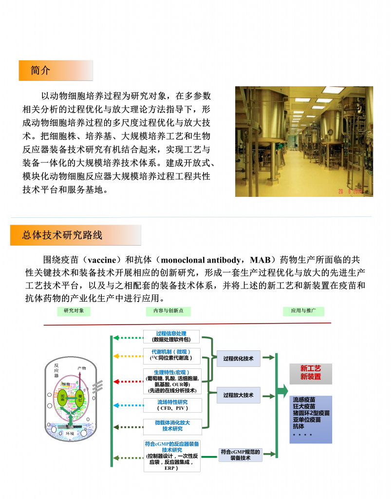 动物细胞培养技术