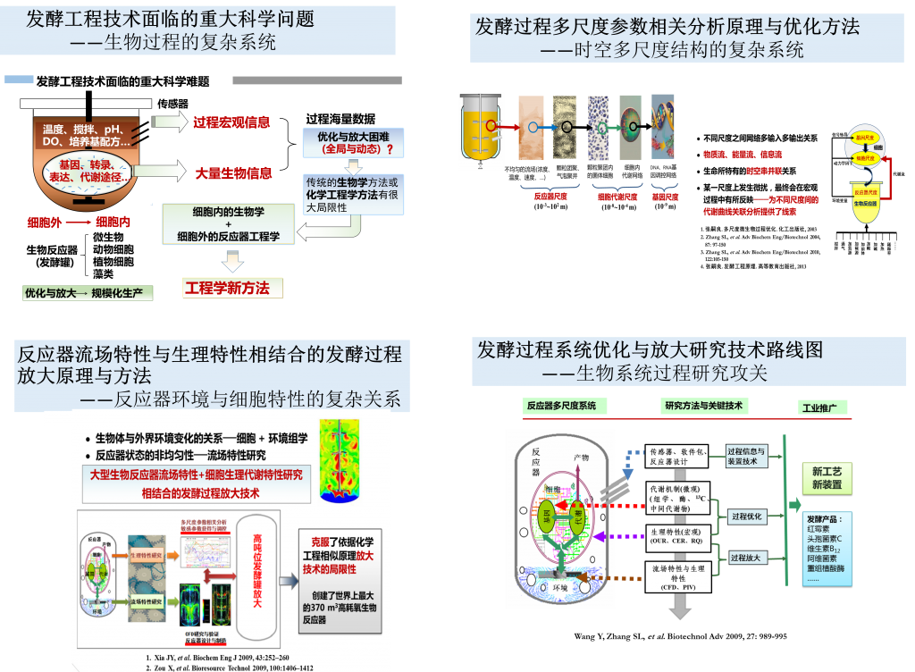 微生物发酵过程优化