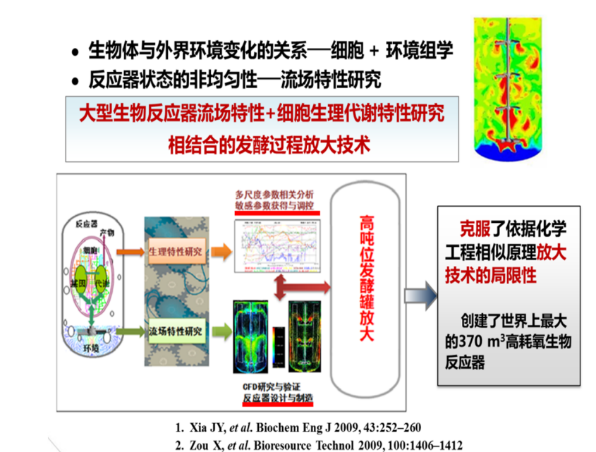 反应器流场特性与生理特性相结合的发酵过程放大原理与方法