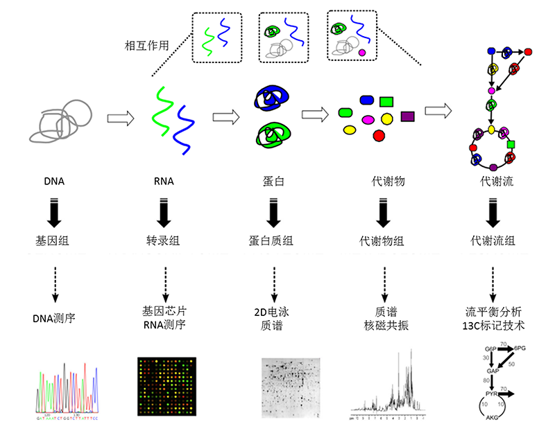 工业生物过程大数据纵向组学研究