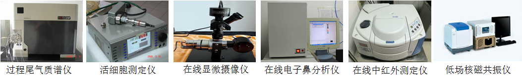 过程检测与控制技术开发与应用