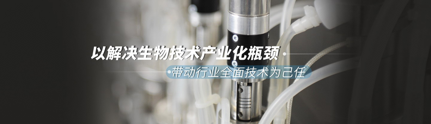 上海国强生化工程装备有限公司