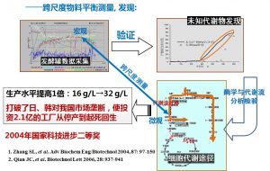 食品添加剂原料（鸟苷）发酵过程优化