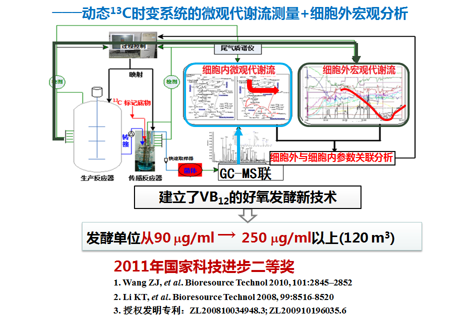 维生素B12发酵过程优化