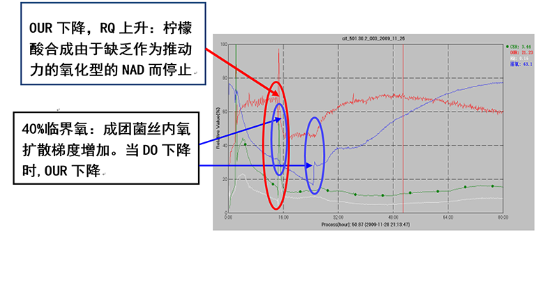 柠檬酸发酵的多尺度相关分析