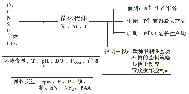 青霉素发酵过程优化控制