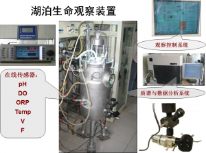 太湖蓝藻水华预报研究